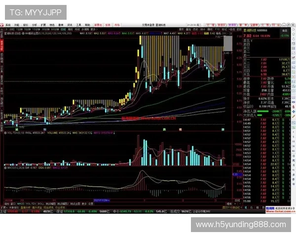 云顶赌场筹码的购买指南帮助玩家轻松掌握各种筹码的选择与使用技巧