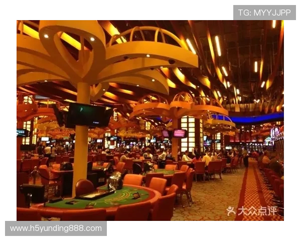 云顶赌场官网提供多种丰富的游戏娱乐体验介绍