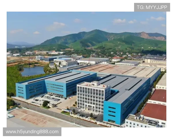 4008云顶集团简介详解其在行业中的地位与竞争优势分析